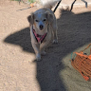 Meet your Posher, Gail